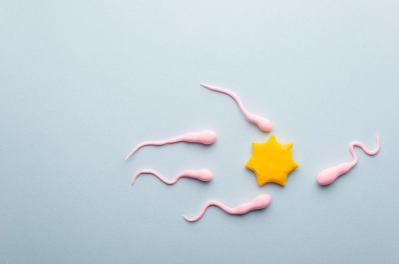 Pokój do oddawania nasienia – jak wygląda? 10 najczęstszych pytań