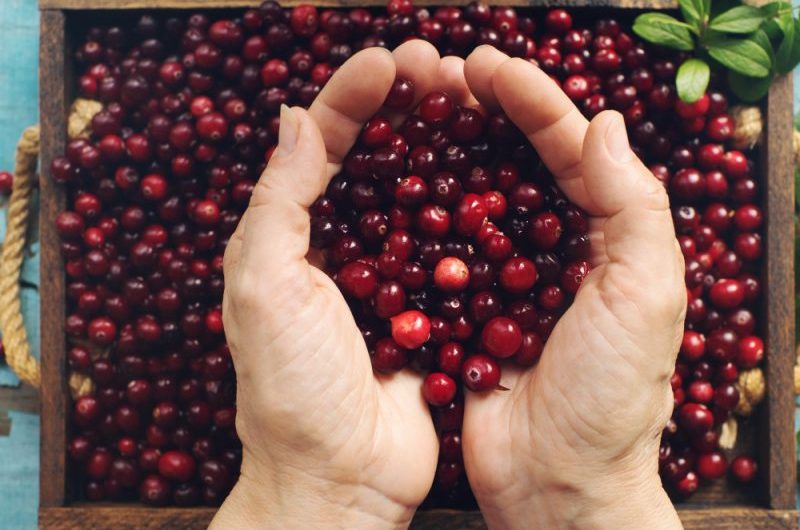 Żurawina w ciąży – czy można ją jeść? Suszona, sok czy świeża?