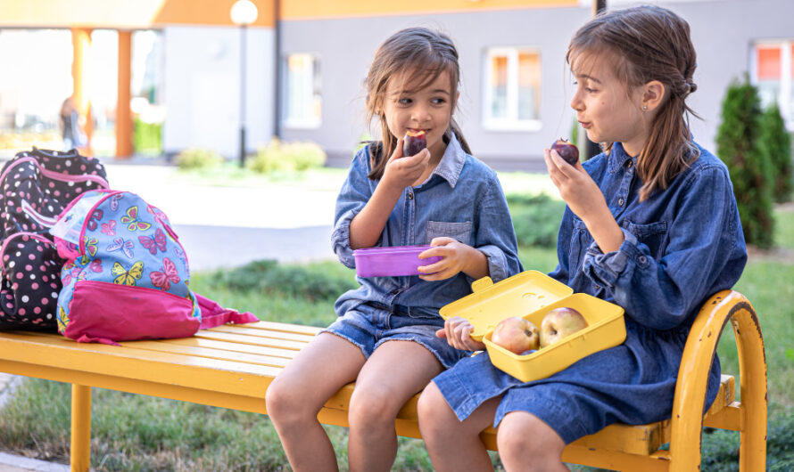 Śniadaniówka dla dzieci – co do niej włożyć? 20 propozycji na zdrowe drugie śniadanie