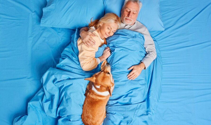 Materace Hilding Anders – dla alergików, seniorów i pacjentów